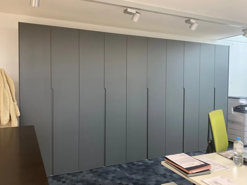 Office wardrobe – Düsseldorf, Germany – matte lacquered in RAL7012 with integrated handles